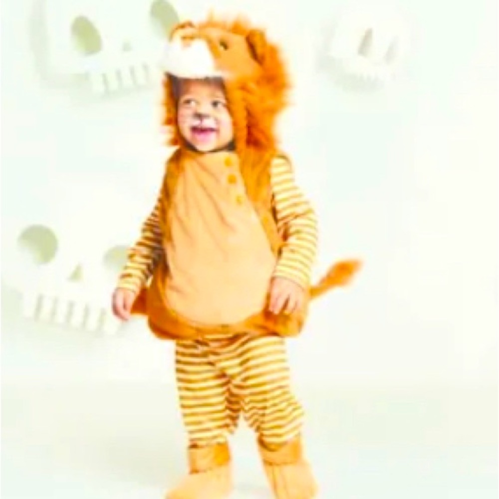 Hide and Eek Lion Costume Infant
